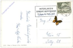 Interlaken, Die Jungfrau