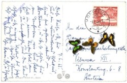 Interlaken, Berner Oberland