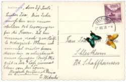 ak159556a Iseltwald, Ortsansicht