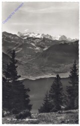 ak159575 Küssnacht, Blick auf die Berneralpen