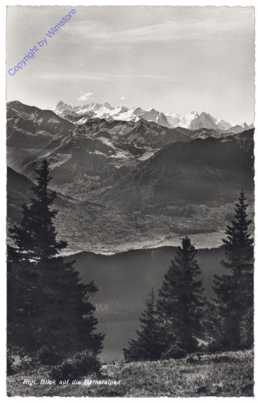 Küssnacht, Blick auf die Berneralpen