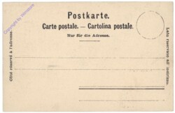 Küssnacht, Panorama von Rigi-Kulm