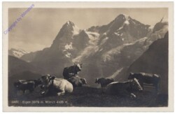 Lauterbrunnen, Eiger, Münch