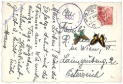 Lausanne, Palais de Rumine