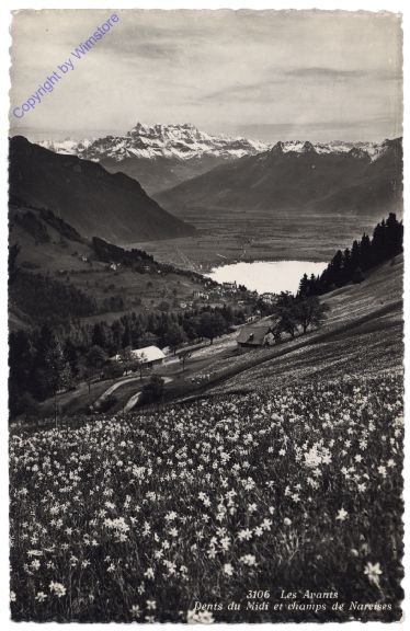 Montreux, Les Avants