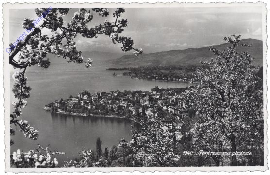 Montreux, vue generale