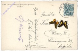 ak159780a Mürren, Ebnefluh