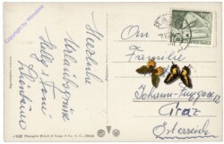 Oberhofen am Thunersee, und Blümlisalp und Niesen