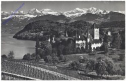 Spiez, Schloss