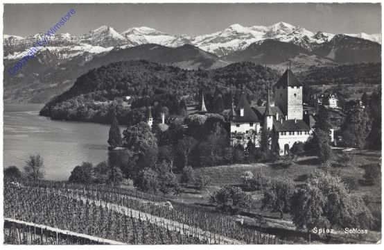 Spiez, Schloss