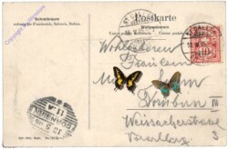 St. Gallen, Broder-Brunnen