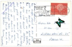 St. Gallen, Kathedrale