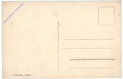 Territet, L'Hotel des Alpes