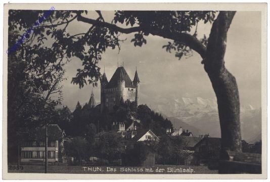 ak159940 Thun, Schloss mit Blümlisalp