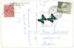 Vitznau, Ortsansicht