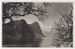Vitznau, Blick auf den Bürgenstock
