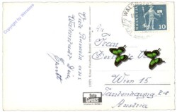 Walenstadt, Multiansicht