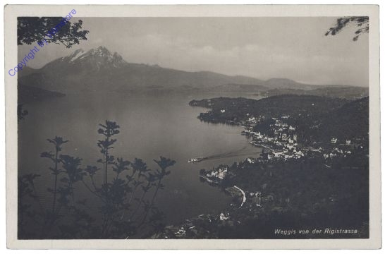 ak159986 Weggis, Ortsansicht