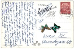 ak160054a Zürich, Multiansicht