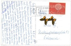 Zürich, Blick von der Waid