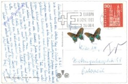 Zürich, und die Alpen