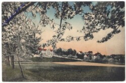 Dresden, Gruss von der Baumblut