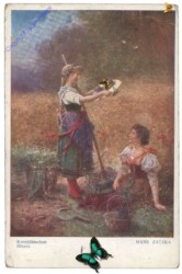 ak160252 Zatzka, Hans: Kornblümchen