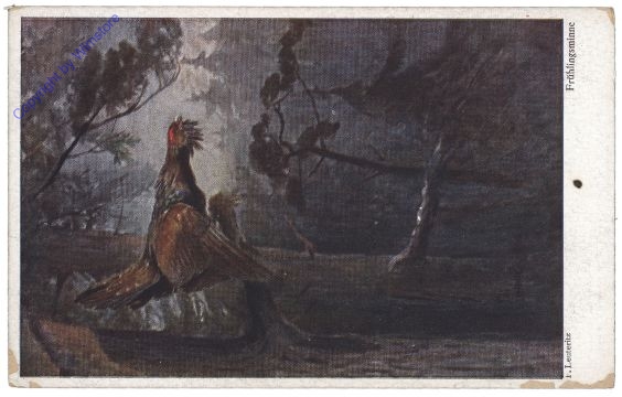 Leuteritz, P.: Frühlingsminne