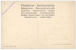 Hoogstraeten, Samuel van: Der Mann am Fenster