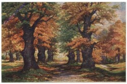Hoy, Walter: Herbst