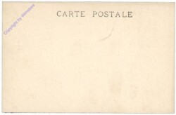 Lenepven: La Prise d'Orleans