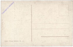 Jirasek, A.J.: Ein Blick in die Zukunft