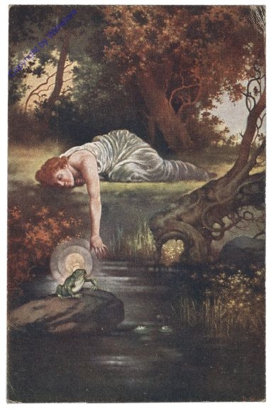ak160597 Hock, D.: Le roi des Grenouilles