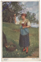 Süss, Josef: Apfelernte