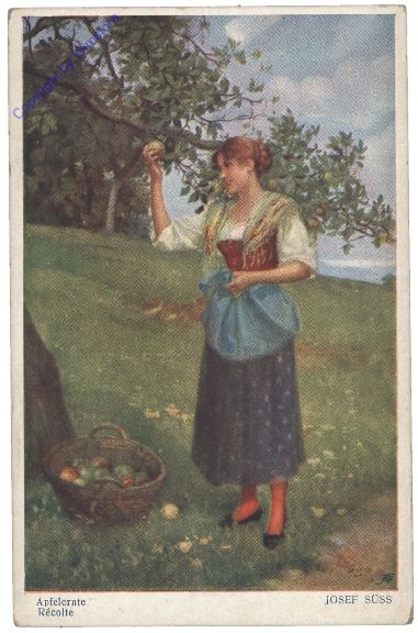 Süss, Josef: Apfelernte