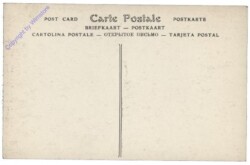 Meunier, C.: Debardeur du port d'Anvers