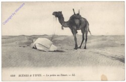 ak160794 La priere au Desert