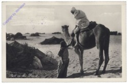 ak160795 Rest in the Desert