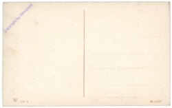 Luxor, Les Colonnades