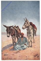 ak160814 An Arab Donkey Boy