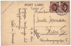 ak160821a Cairo, The lucky Crocodile