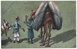 Cairo, Serie 38: Vituperation