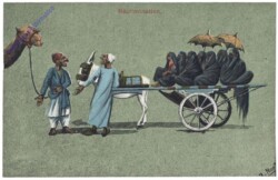 Cairo, Serie 38: Recrimination