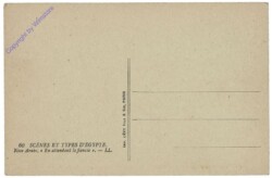 ak160874a Egyptian Types and Scenes: Nativ Wedding