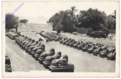 Karnak, Avenue of Sphinxes
