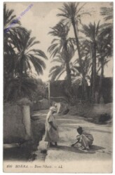 Biskra, Dans l'Oasis