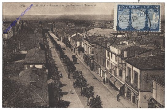 Blida, Perspective du Boulevard Trumelet