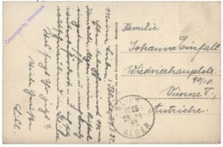 Blida, Perspective du Boulevard Trumelet