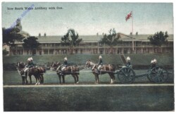 New South Wales Artillery with Gun