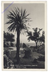 Warna (Varna), Die Parkanlage